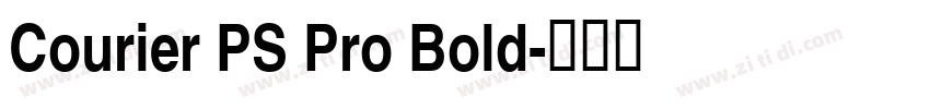 Courier PS Pro Bold字体转换